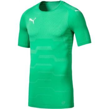 Puma FINAL EVOKNIT GK JERSEY Pánské brankářské triko, zelená, velikost L