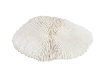 Bílý dekorativní umělý mořský korál - 15,5*14*3 cm 80128