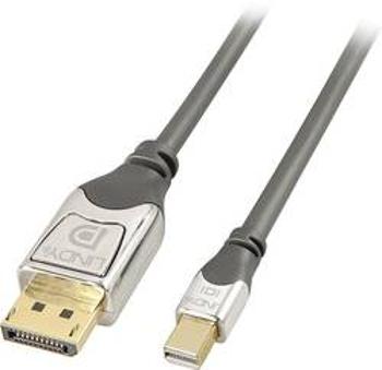 DisplayPort kabel LINDY [1x zástrčka DisplayPort - 1x mini DisplayPort zástrčka] šedá 0.50 m