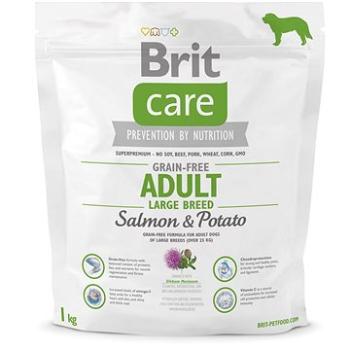 Brit Care grain-free adult large breed salmon & potato 1 kg (8595602510207)