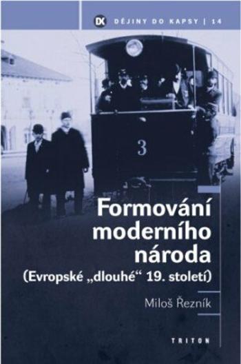 Formování moderního národa - Miloš Řezník - e-kniha