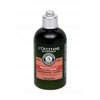 L'Occitane Aromachology Intense Repair 250 ml kondicionér pro ženy na poškozené vlasy; na suché vlasy