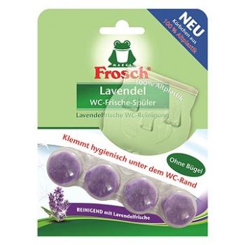 FROSCH EKO WC blok levandule  42 g (4001499958595)