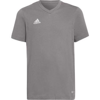 adidas ENTRADA 22 TEE Chlapecké triko, šedá, velikost