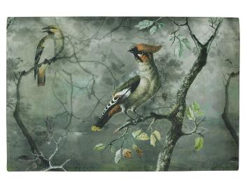 Zeleno-šedá rohožka s ptáčky Crested Bird - 75*50*1cm RARMCKV