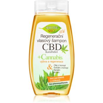 Bione Cosmetics Cannabis CBD regenerační šampon s CBD 260 ml