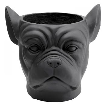 Sada 2 ks – Dekorativní květináč Bulldog – černý
