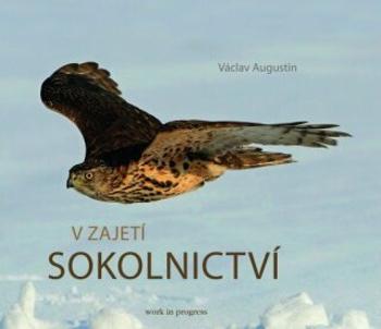 V zajetí sokolnictví - Václav Augustin - e-kniha