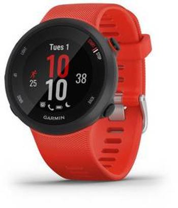 Fitness hodinky Garmin Forerunner 45