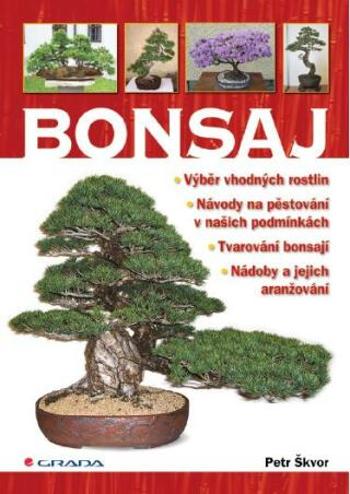 Bonsaj - Petr Škvor - e-kniha