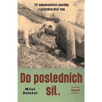 Do posledních sil.: Tři dokumentární povídky z konce protektorátu (978-80-7577-543-6)