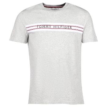Tommy Hilfiger CLASSIC-CN SS TEE PRINT Pánské tričko, šedá, velikost S