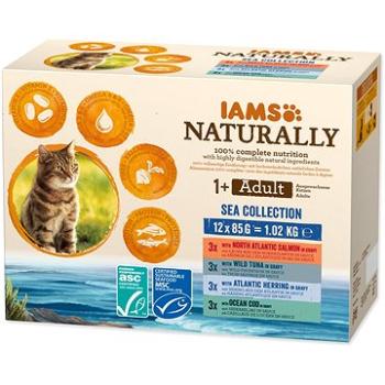 IAMS Naturally pro dospělé kočky s masem z mořských ryb v omáčce 12 × 85 g (8710255167169)