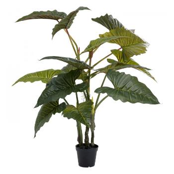 Dekorativní rostlina Taro 180 cm