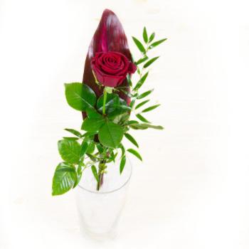 Chocolissimo - Červnená růže - květinové aranžmá 150 g