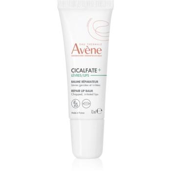 Avène Cicalfate obnovující balzám pro suché rty 10 ml