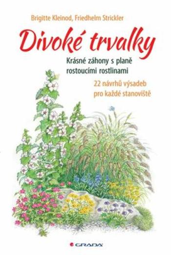 Divoké trvalky - Brigitte Kleinod, Friedhelm Strickler