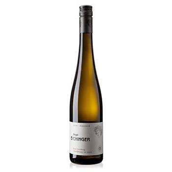 BIRGIT EICHINGER Ried Strasser Gaisberg Chardonnay 2019 0,75l (9120017670674)