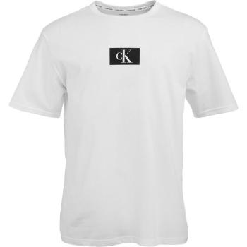 Calvin Klein ´96 GRAPHIC TEES-S/S CREW NECK Pánské tričko, bílá, velikost