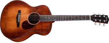 Eastman ACTG1-CLA