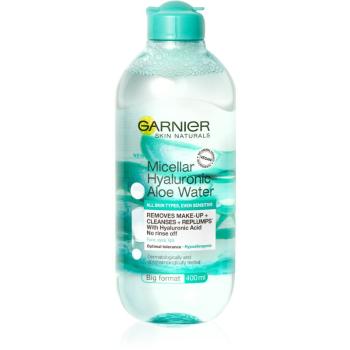 Garnier Skin Naturals Micellar Hyaluronic Aloe Water micelární voda 400 ml