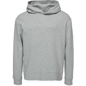 Calvin Klein L/S HOODIE Pánská mikina, šedá, velikost