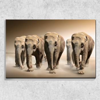 Foto na plátně Stádo slonů 90x60 cm