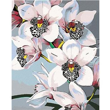 Malování podle čísel - Nádherné orchideje (HRAmal01156nad)