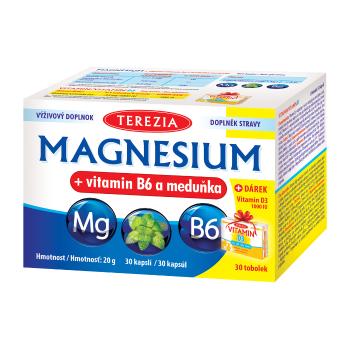 Terezia Magnesium a vitamin B6 a meduňka 30 kapslí + Dárek Vitamin D3 1000 IU 30 tobolek