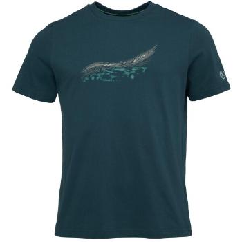 Puma MERCEDES-AMG PETRONAS F1 ESSENTIALS CAR GRAPHIC TEE Pánské triko, tmavě zelená, velikost