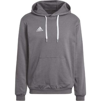 adidas ENT22 HOODY Pánská fotbalová mikina, šedá, velikost L