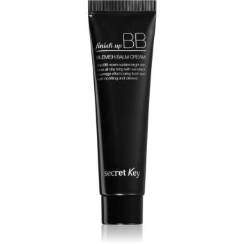 Secret Key Finish Up hydratační BB krém proti nedokonalostem pleti 30 ml