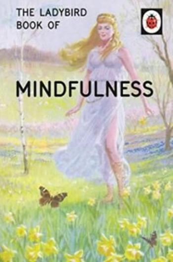 The Ladybird Book Of Mindfulness - Jason Hazeley