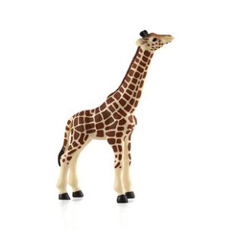Mojo Žirafa mládě (5031923870079)