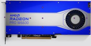 HP VGA AMD Radeon Pro W6600 8GB GDDR6 PCIe x16 Graphics Card, 4xiDisplayPort