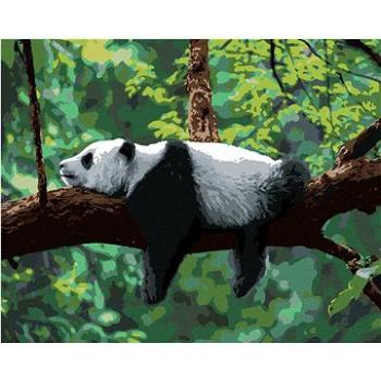 Diamondi - Diamantové malování - PANDA LEŽÍCÍ NA STROMĚ, 40x50 cm, Vypnuté plátno na rám (606018B)