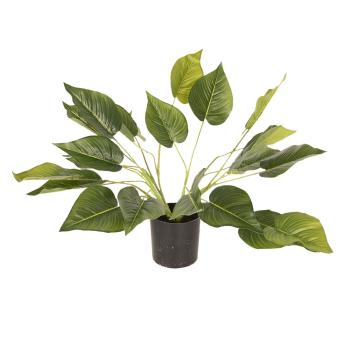 Dekorační pokojová rostlina - 46 cm 5PL0025