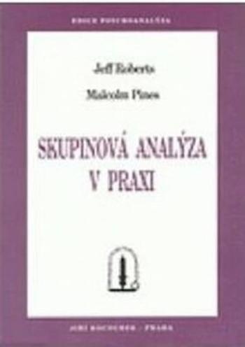 Skupinová analýza v praxi - Malcolm Pines, Jeff Roberts