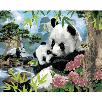 Malování podle čísel - Pandy a divoká příroda (Howard Robinson) (HRAbz33480nad)