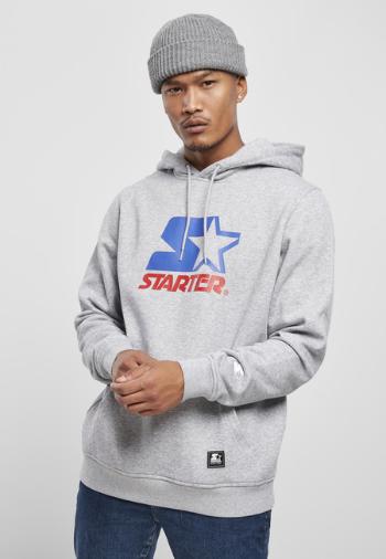 Starter Two Color Logo Hoody h.grey - M