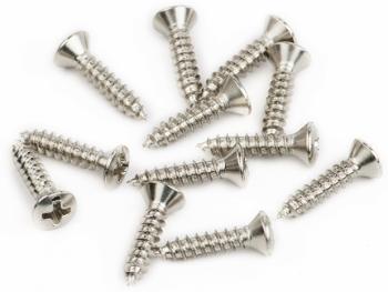 Fender Pickguard/Vintage Bridge Cover Screws