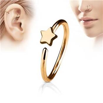 Šperky4U Zlacený piercing do nosu/ucha kruh s hvězdou - N0053-RD