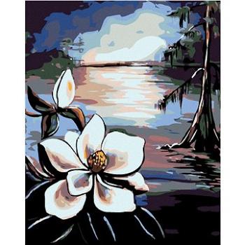Malování podle čísel - Krásná květina a starý strom u jezera (HRAmal00963nad)