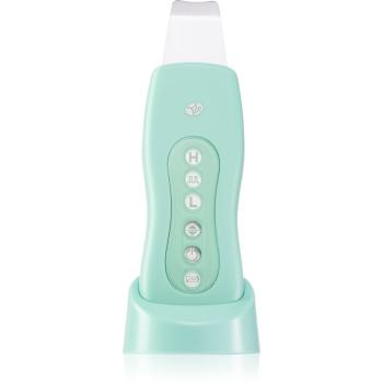 RIO Ultrasonic Facial Ultrasonic Facial čisticí přístroj na obličej Mint 1 ks