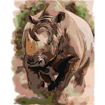 Malování podle čísel - Nosorožec (HRAmal00906nad)