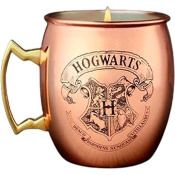 Charmed Aroma Harry Potter Copper - Měděný hrnek 396 g + stříbrný náhrdelník 1 ks (4260676685765)
