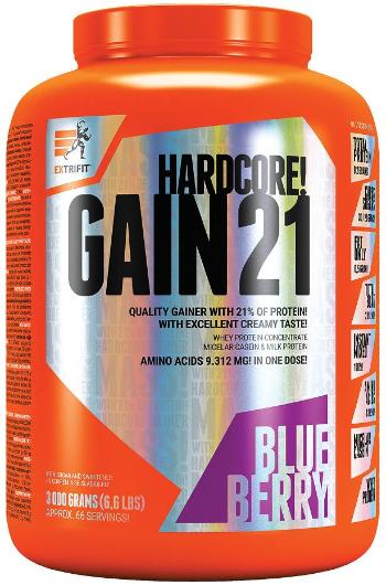 Extrifit Hardcore Gain 21 Borůvka 3 kg