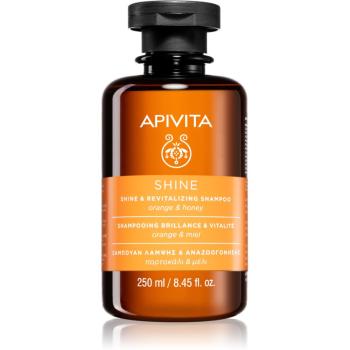 Apivita Shine and Revitalizing Shampoo revitalizační šampon pro posílení a lesk vlasů 250 ml