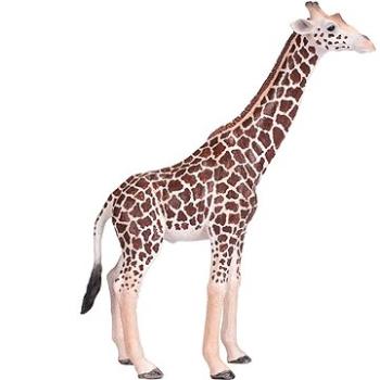 Mojo Žirafa samec (5031923810082)
