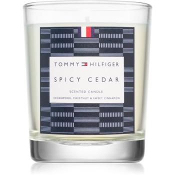 Tommy Hilfiger Home Collection Spicy Cedar svíčka 180 g